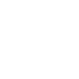 ship 1